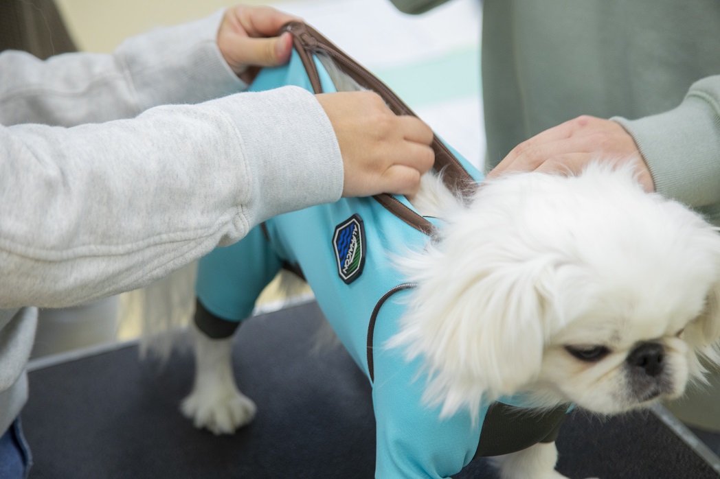 【愛玩動物看護学科】熱中症について学ぼう