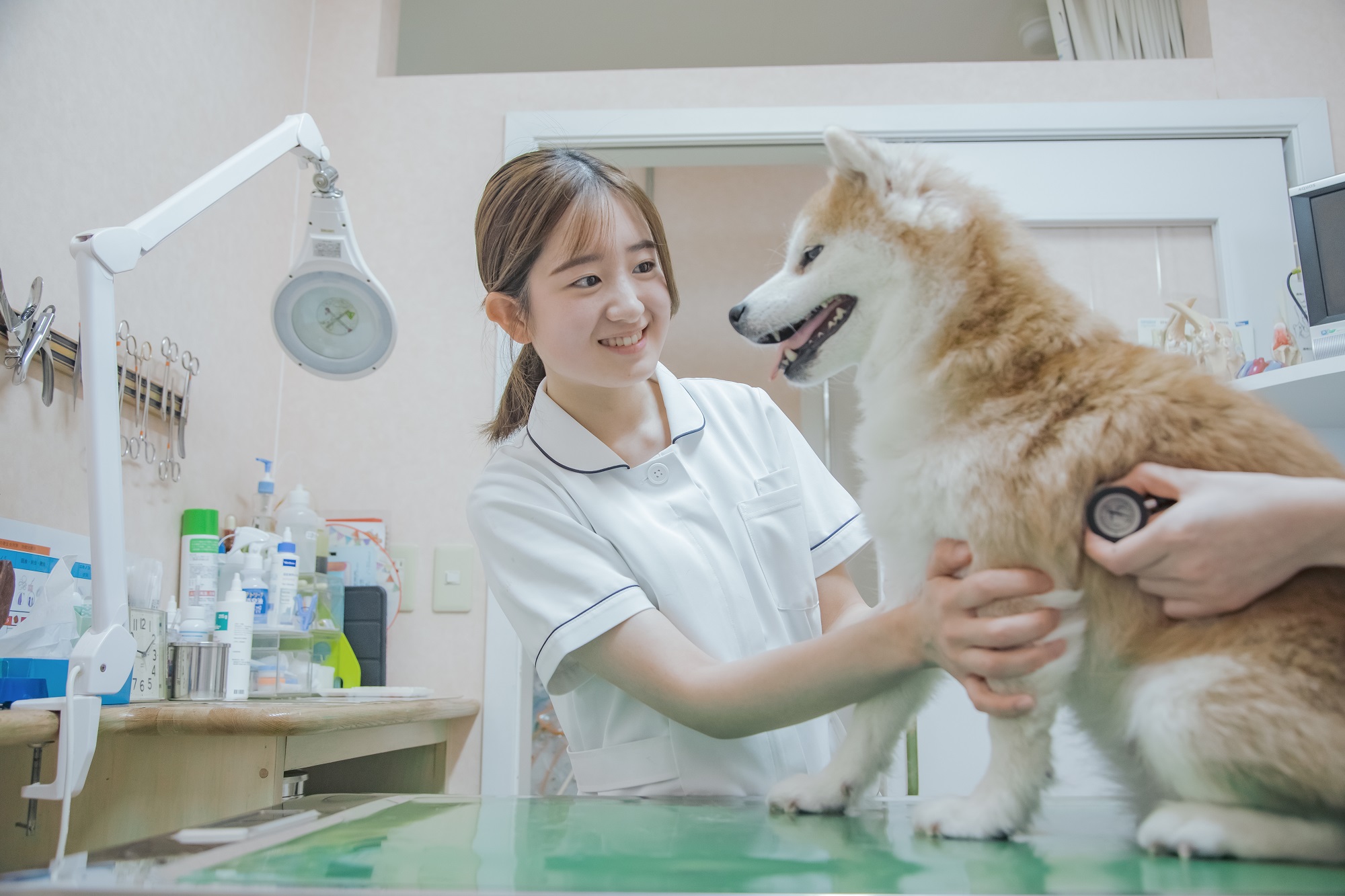 【愛玩動物看護学科】ワンちゃんの健康チェック体験