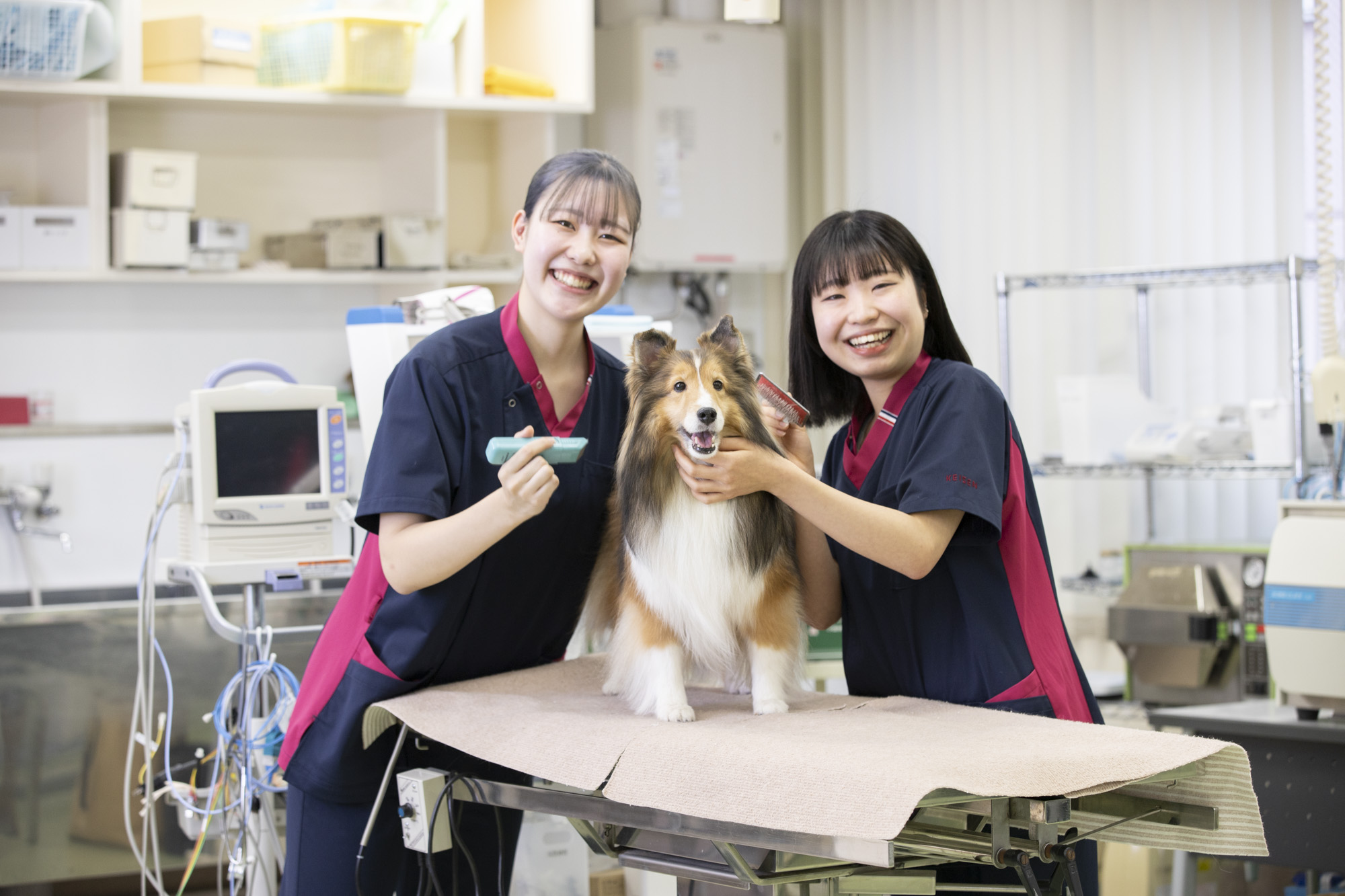 7/12どうぶつのオープンキャンパス