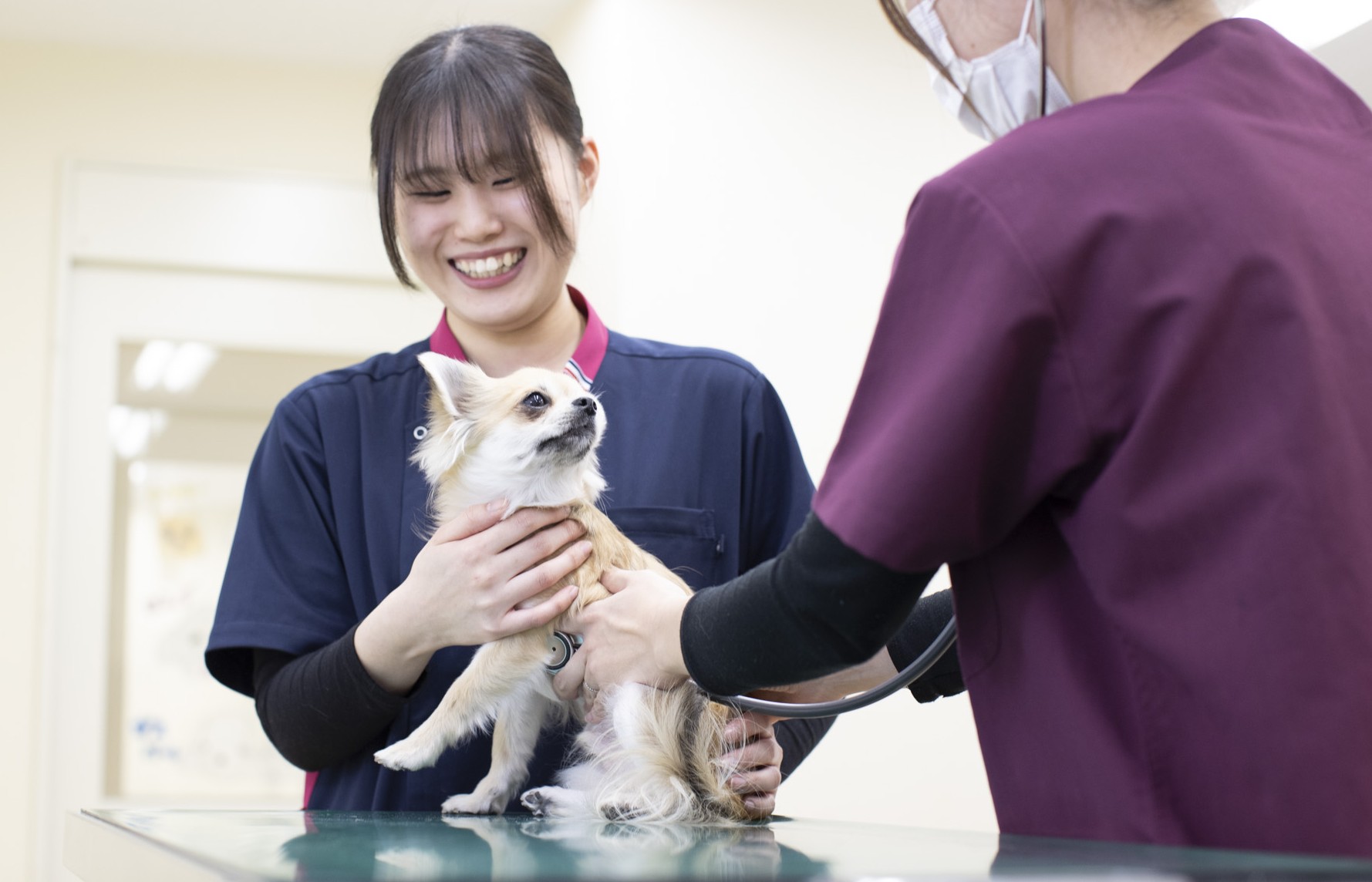 【愛玩動物看護学科】ワンちゃんの保定に挑戦