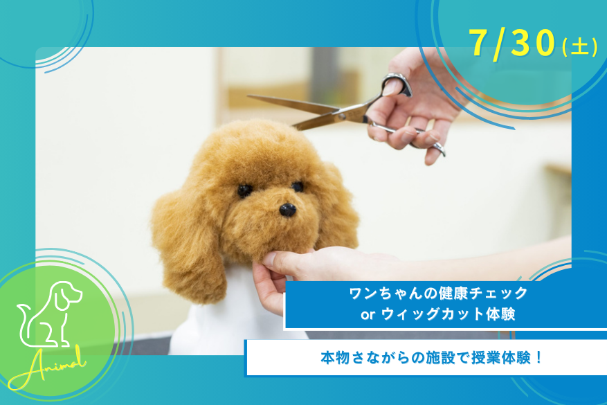 7/30(水)どうぶつのオープンキャンパス