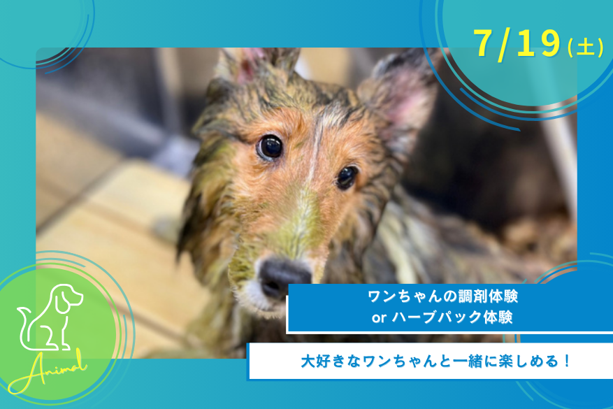 7/19(土)どうぶつのオープンキャンパス