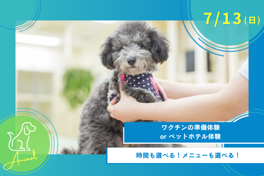 7/13(日)どうぶつのオープンキャンパス