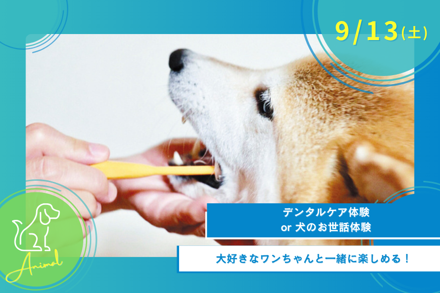 9/13(土)どうぶつのオープンキャンパス
