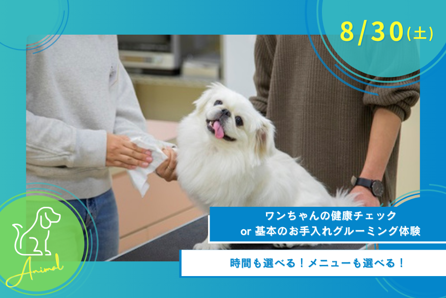 8/30(土)オープンキャンパス<どうぶつ>