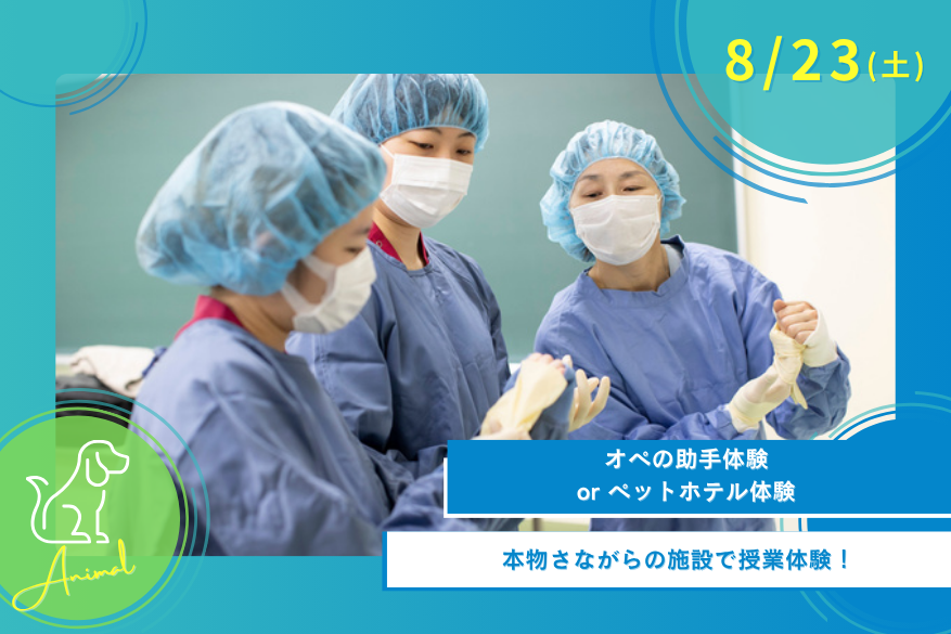 8/23(土)オープンキャンパス<どうぶつ>