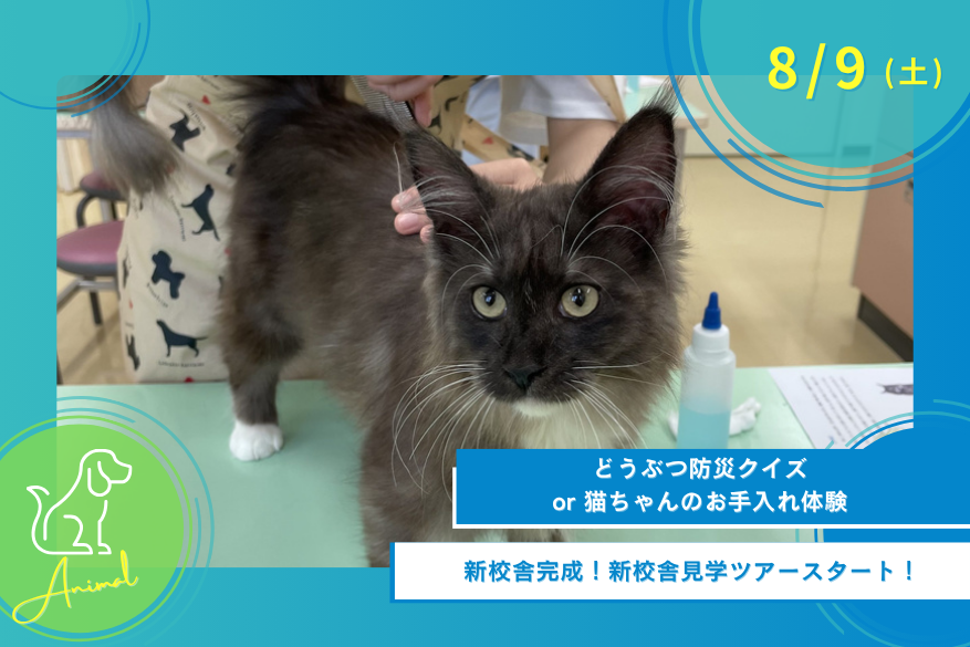 8/9(土)オープンキャンパス<どうぶつ>