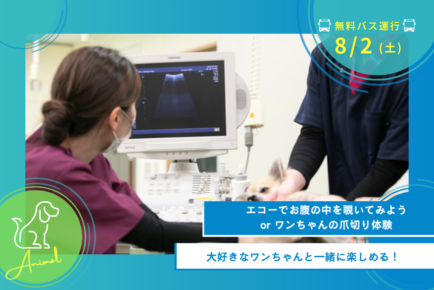 8/2(土)オープンキャンパス<どうぶつ>【無料送迎バス運行日】