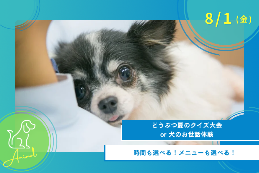 8/1(金)オープンキャンパス<どうぶつ>