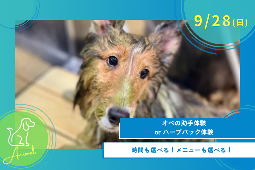 9/28（日）どうぶつのオープンキャンパス