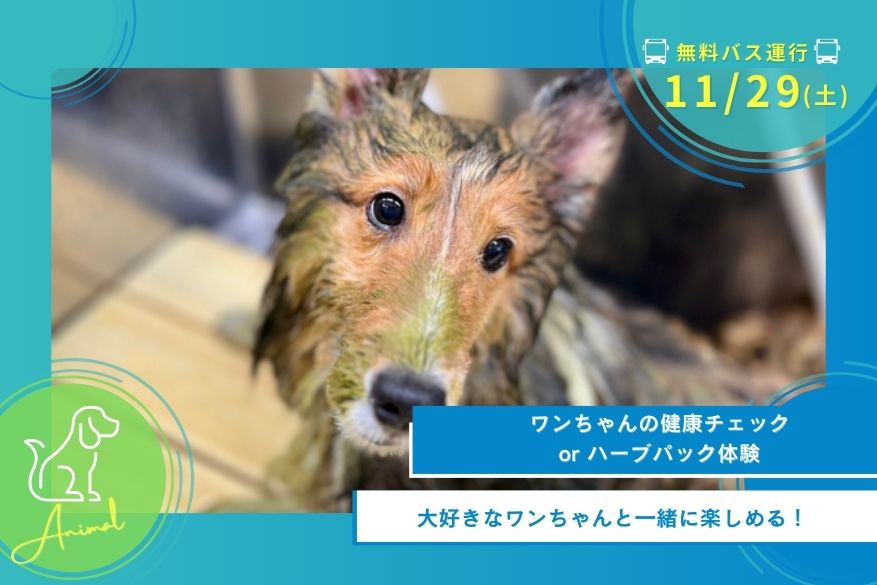 11/29(土)どうぶつの1DAY型オープンキャンパス【無料送迎バス運行日】