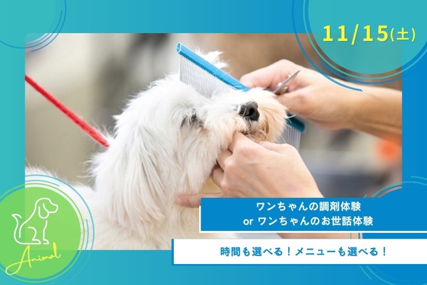 11/15(土)どうぶつのオープンキャンパス♪