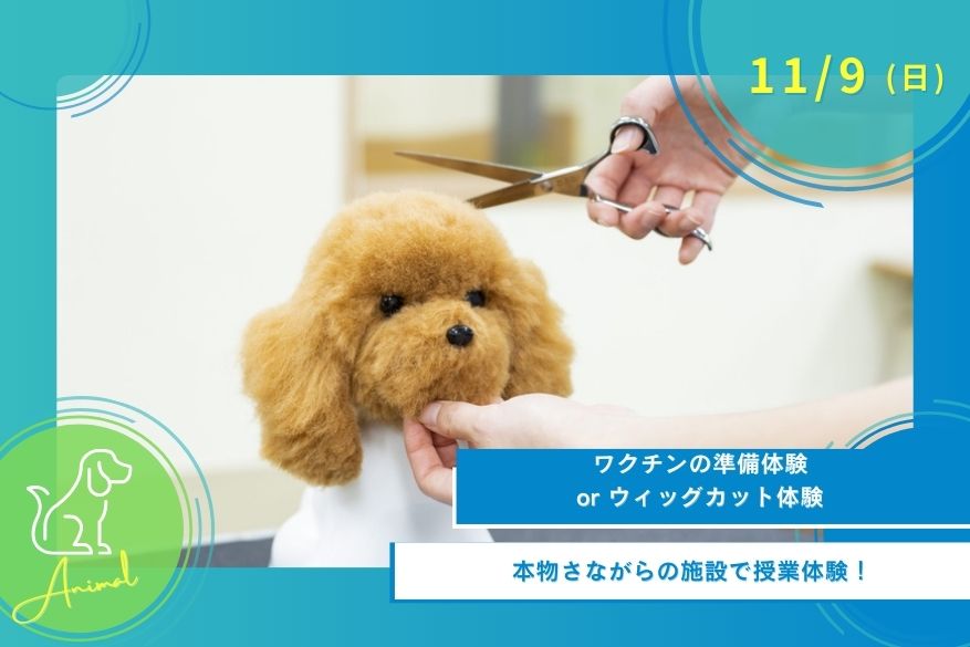 11/9(日)どうぶつのオープンキャンパス