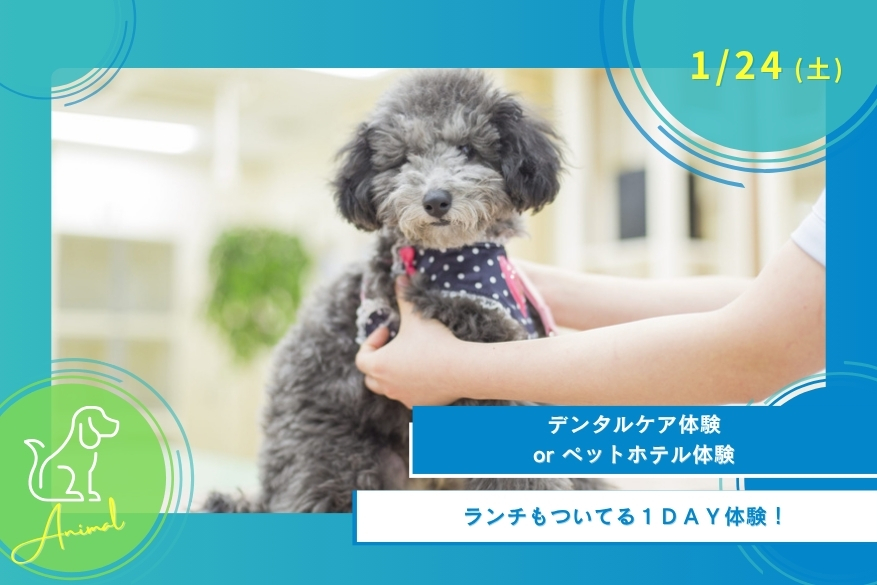 1/24(土)どうぶつの１DAY型オープンキャンパス
