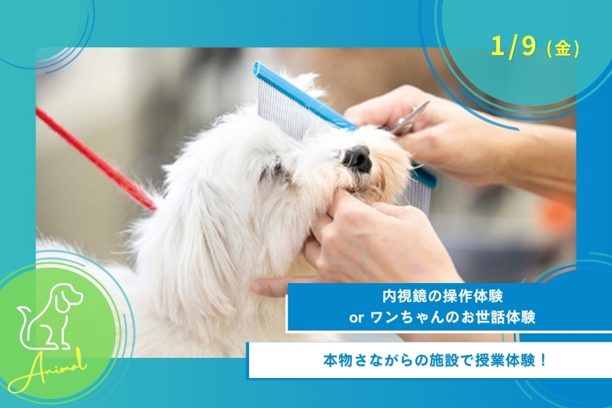 1/9(金)どうぶつの１DAY型オープンキャンパス