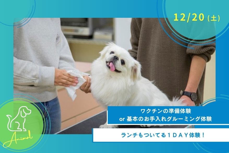 12/20（土）どうぶつの１DAY型オープンキャンパス
