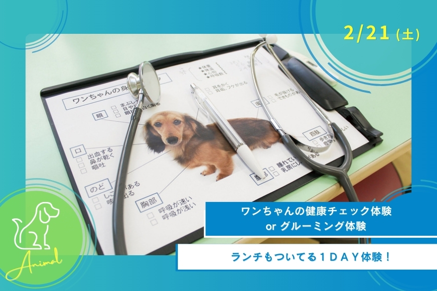 2/21(土)どうぶつの１DAY型オープンキャンパス
