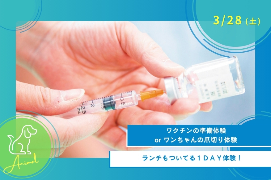 3/28（土）【無料送迎バスあり】どうぶつの春フェスタ🌸プレゼントもある１DAY型オープンキャンパス♪