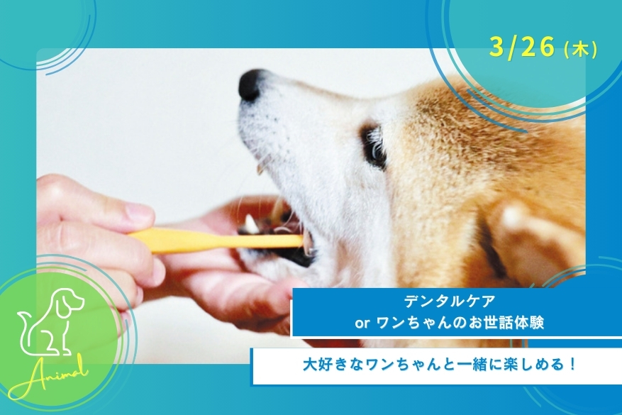 3/26（木）どうぶつのオープンキャンパス