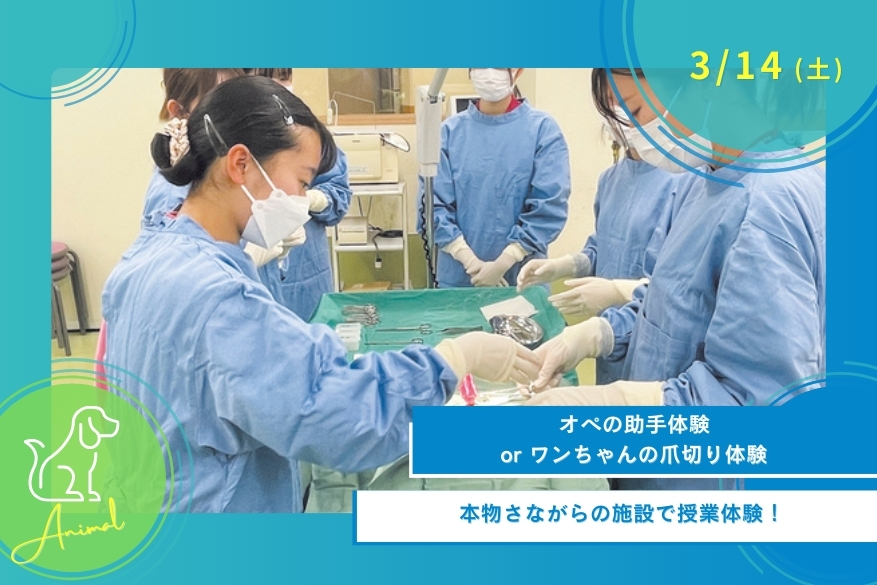 3/14（土）どうぶつのオープンキャンパス