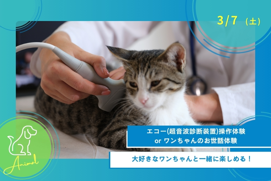 3/7（土）どうぶつのオープンキャンパス