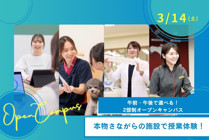 ★午前・午後選べる2部制オープンキャンパス♪3/14