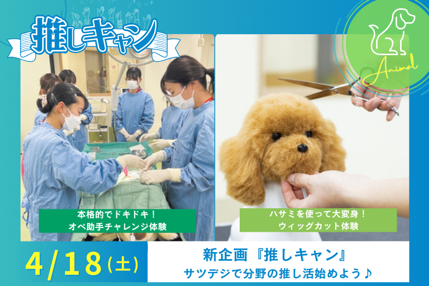4/18（土）どうぶつの『推しキャン』ランチ付き１DAY型オープンキャンパス♪