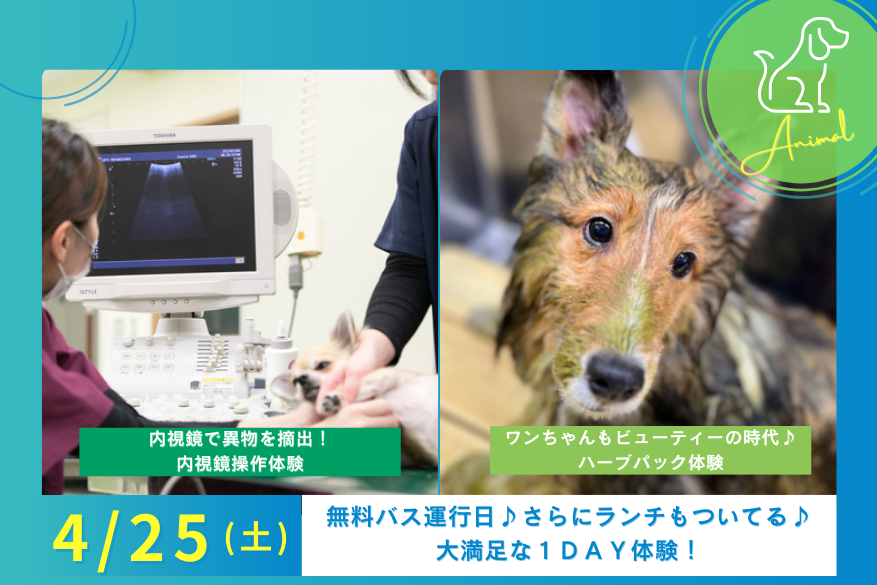 4/25（土）【無料送迎バスあり】どうぶつのランチ付きでじっくり過ごせる１DAY型オープンキャンパス♪