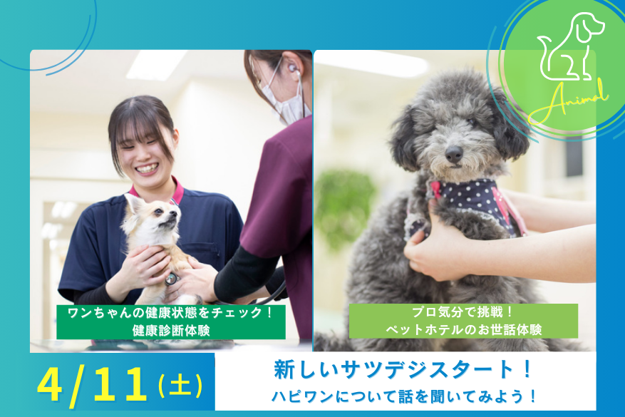 4/11（土）どうぶつのオープンキャンパス