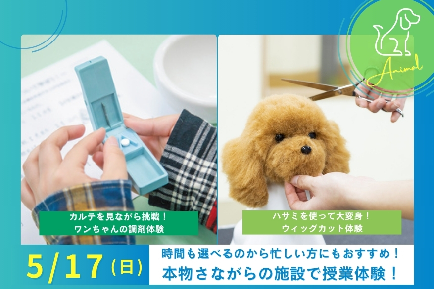 ★午前・午後選べる2部制オープンキャンパス♪5/17